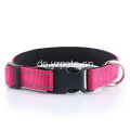 Einfaches Sicherheits-Nylon-Hundehalsband